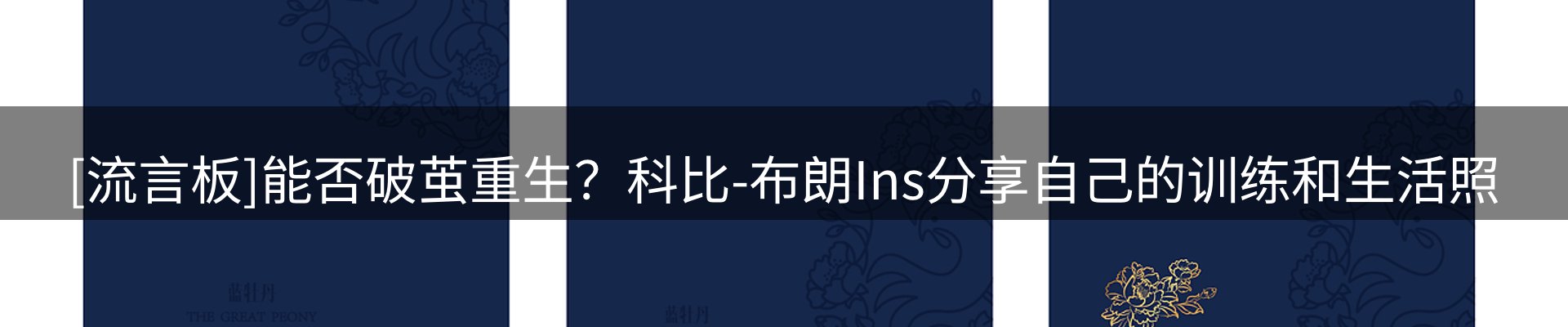 品牌资讯